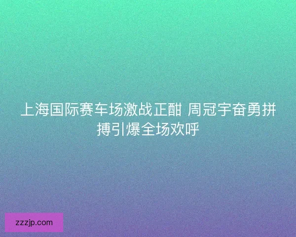 上海国际赛车场激战正酣 周冠宇奋勇拼搏引爆全场欢呼